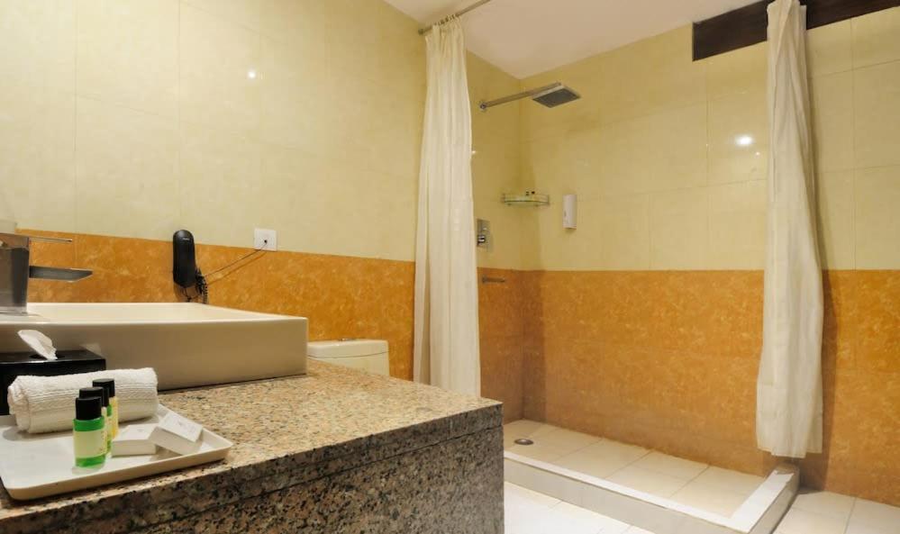 Zenith Hotel - Delhi Airport Nowe Delhi Zewnętrze zdjęcie