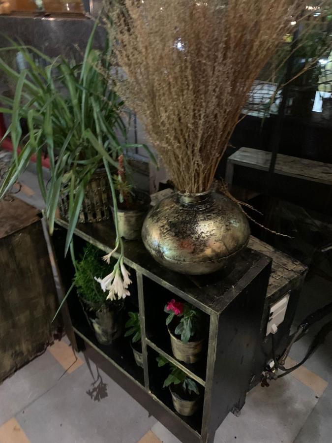 Zenith Hotel - Delhi Airport Nowe Delhi Zewnętrze zdjęcie